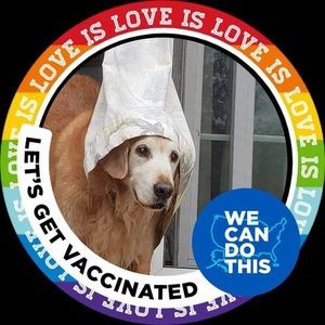 Meet your Posher, Joy